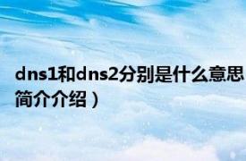 dns1和dns2分别是什么意思（dns1和dns2分别是什么相关内容简介介绍）