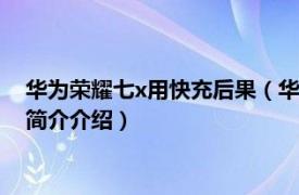 华为荣耀七x用快充后果（华为荣耀7X到底有没有快充相关内容简介介绍）