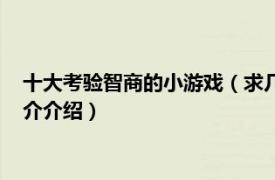 十大考验智商的小游戏（求几个考验人智商的小游戏相关内容简介介绍）