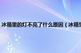 冰箱里的灯不亮了什么原因（冰箱里灯不亮是怎么回事相关内容简介介绍）