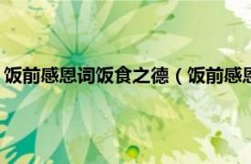 饭前感恩词饭食之德（饭前感恩词(每日必读)相关内容简介介绍）