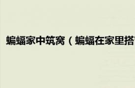 蝙蝠家中筑窝（蝙蝠在家里搭窝预示着什么相关内容简介介绍）