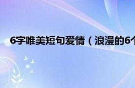 6字唯美短句爱情（浪漫的6个字爱情短句相关内容简介介绍）