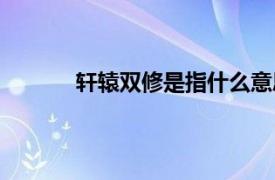 轩辕双修是指什么意思（双修是指什么意思）