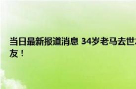 当日最新报道消息 34岁老马去世2匹小马将送葬车拦停 一段视频看哭了网友！