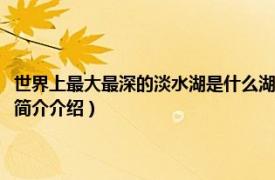 世界上最大最深的淡水湖是什么湖（世界上最深的淡水湖是什么湖相关内容简介介绍）