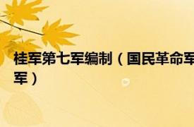 桂军第七军编制（国民革命军第十八军 桂军第七军组成的第十八军）