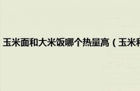 玉米面和大米饭哪个热量高（玉米和大米饭哪个热量高相关内容简介介绍）