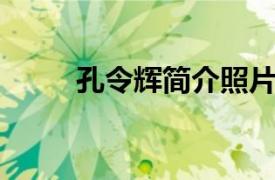 孔令辉简介照片（孔令辉 艺术家）