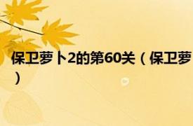 保卫萝卜2的第60关（保卫萝卜2第60关怎么过相关内容简介介绍）