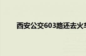 西安公交603路还去火车站吗?（西安公交603路）