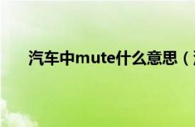 汽车中mute什么意思（汽车上的mute是什么意思）