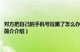 对方把自己的手机号拉黑了怎么办（对方把我手机号拉黑了怎么破相关内容简介介绍）