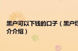 黑户可以下钱的口子（黑户烂户秒下钱的口子有哪些相关内容简介介绍）