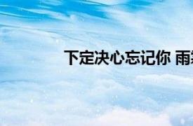 下定决心忘记你 雨霖枫演唱的歌曲是什么