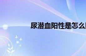 尿潜血阳性是怎么回事严重吗（尿潜血）