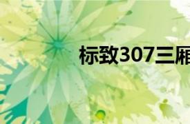 标致307三厢车（标致307）