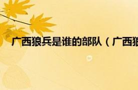 广西狼兵是谁的部队（广西狼兵是否属实相关内容简介介绍）