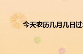 今天农历几月几日过年（今天农历几月几日）