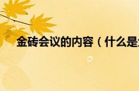 金砖会议的内容（什么是金砖会议相关内容简介介绍）