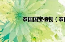 泰国国宝植物（泰国国王 水生草本植物）