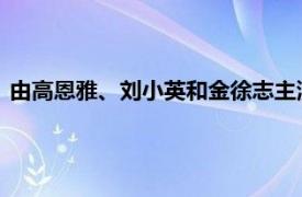 由高恩雅、刘小英和金徐志主演的2017年韩国伦理电影《野兽》