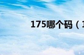 175哪个码（175是什么码啊）