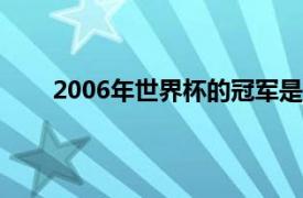 2006年世界杯的冠军是谁（06年世界杯冠军是谁）