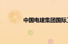 中国电建集团国际工程有限公司是国企吗