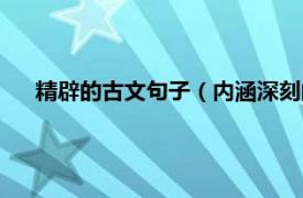 精辟的古文句子（内涵深刻的古文句子相关内容简介介绍）