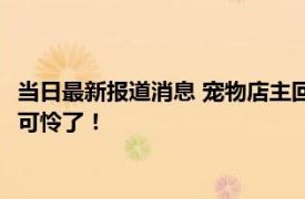 当日最新报道消息 宠物店主回应离开半月猫狗被饿死 这些猫狗太可怜了！