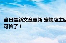 当日最新文章更新 宠物店主回应离开半月猫狗被饿死 这些猫狗太可怜了！