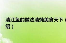 清江鱼的做法清炖美食天下（清炖清江鱼怎么做相关内容简介介绍）