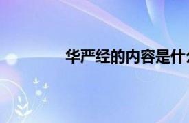 华严经的内容是什么（华严经 上、下册）