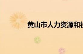 黄山市人力资源和社会保障局官网 网页版