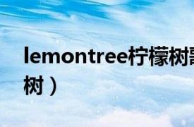 lemontree柠檬树歌词（Lemon Tree 柠檬树）