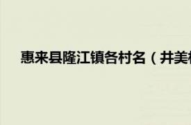 惠来县隆江镇各村名（井美村 广东省惠来县隆江镇下辖村）