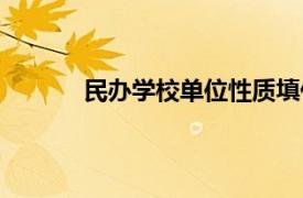 民办学校单位性质填什么（单位性质填什么）