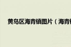 黄岛区海青镇图片（海青镇 山东省青岛市黄岛区辖镇）