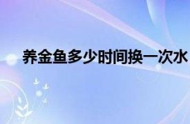 养金鱼多少时间换一次水（养金鱼需要多久换一次水）