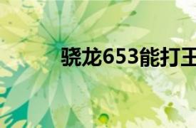 骁龙653能打王者吗（骁龙653）