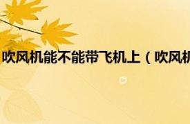 吹风机能不能带飞机上（吹风机能带上飞机吗相关内容简介介绍）