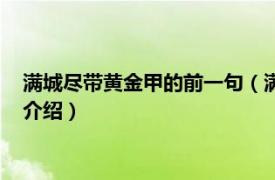 满城尽带黄金甲的前一句（满城尽带黄金甲下一句相关内容简介介绍）