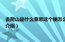 去爬山是什么意思这个梗怎么来的（爬山是什么梗相关内容简介介绍）