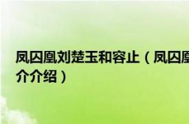 凤囚凰刘楚玉和容止（凤囚凰容止什么时候喜欢楚玉相关内容简介介绍）