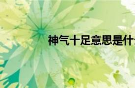 神气十足意思是什么（神气十足的意思）