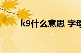 k9什么意思 字母圈（k8什么意思）