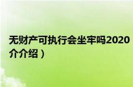 无财产可执行会坐牢吗2020（无财产可执行会坐牢吗相关内容简介介绍）