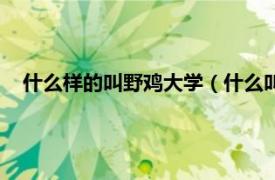 什么样的叫野鸡大学（什么叫做野鸡学校相关内容简介介绍）