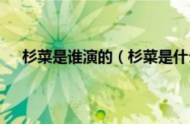 杉菜是谁演的（杉菜是什么电视剧相关内容简介介绍）